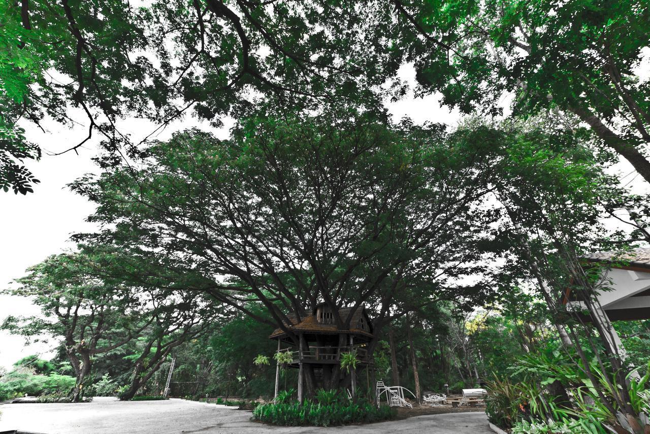 Tree House Hotel Sisaket Buitenkant foto